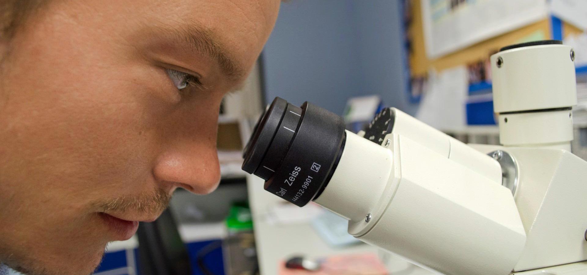 Supplement Formulation Img07